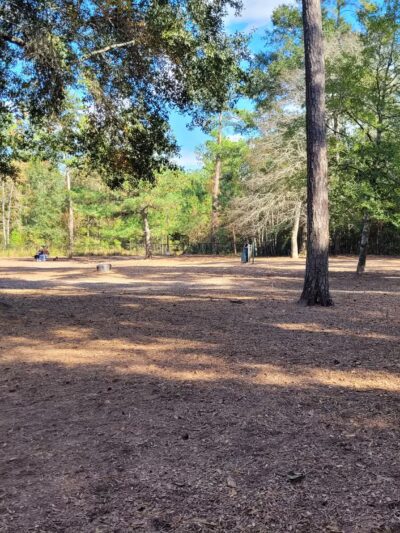 Bear Branch Dog Park - The Woodlands, TX