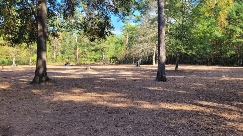 Bear Branch Dog Park - The Woodlands, TX