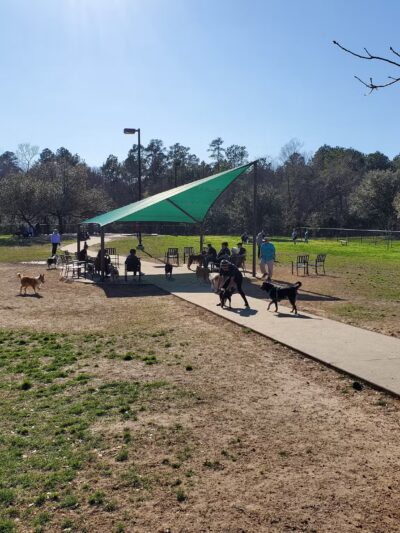 Cattail Park - The Woodlands, TX