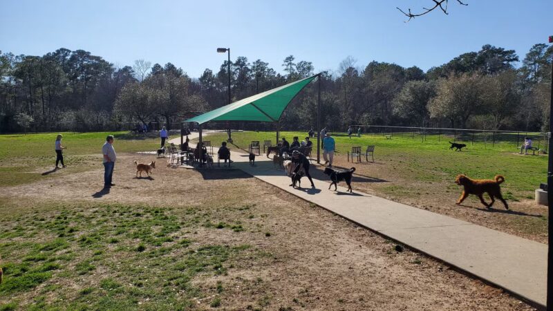 Cattail Park - The Woodlands, TX