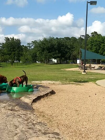 Cattail Park - The Woodlands, TX