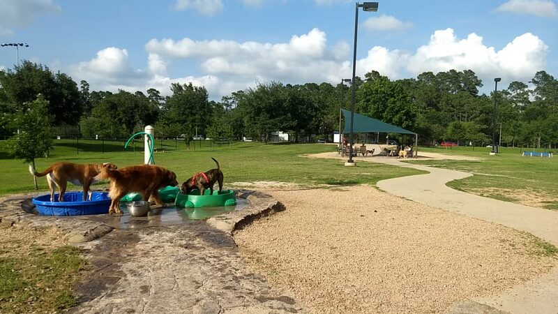 Cattail Park - The Woodlands, TX