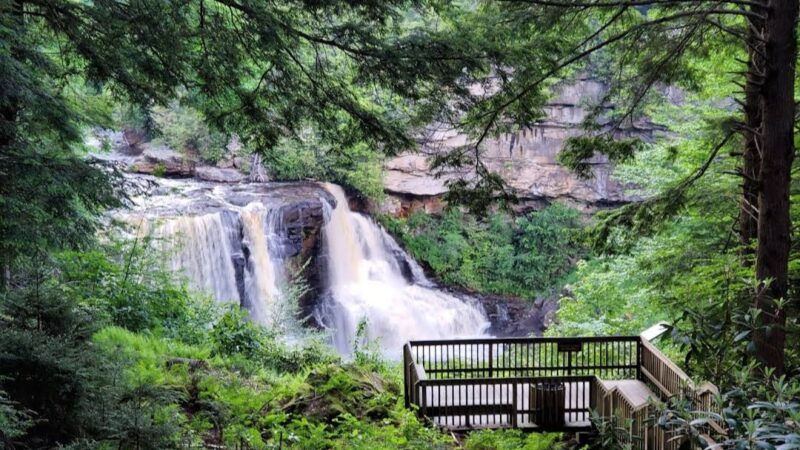 Blackwater Falls Provincial Park Cross Country Ski Center and Sled Run - Thomas, WV