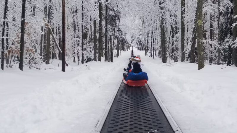 Blackwater Falls Provincial Park Cross Country Ski Center and Sled Run - Thomas, WV