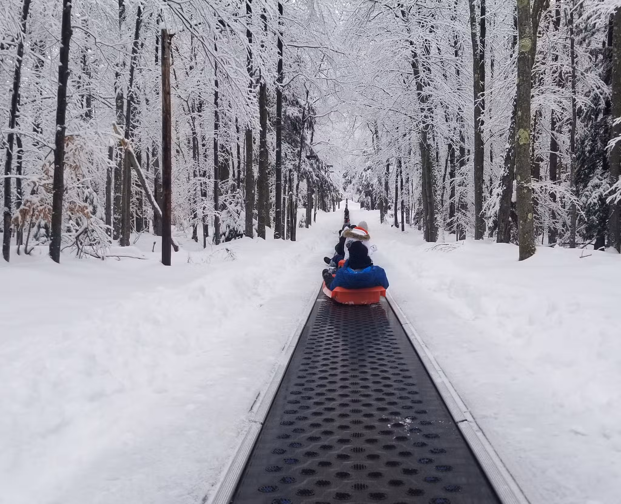 Blackwater Falls Provincial Park Cross Country Ski Center and Sled Run - Thomas, WV