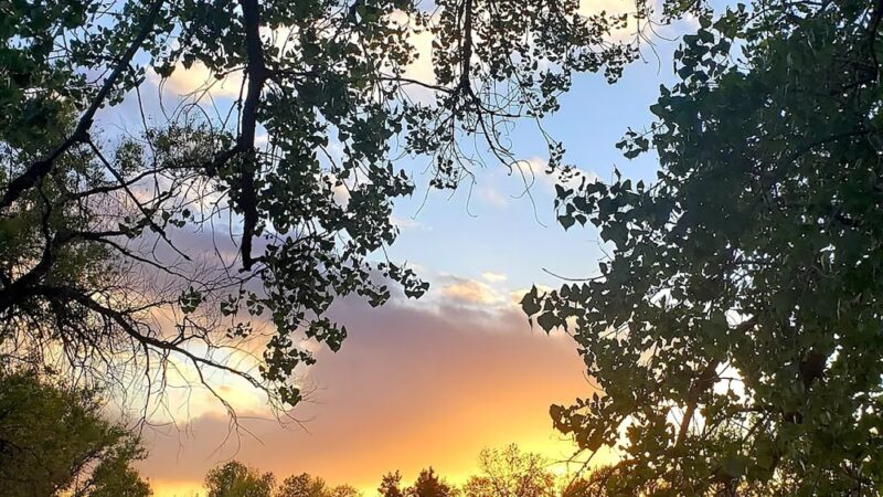 Briar Ridge Park - Thornton, CO