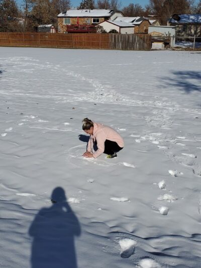 Briar Ridge Park - Thornton, CO