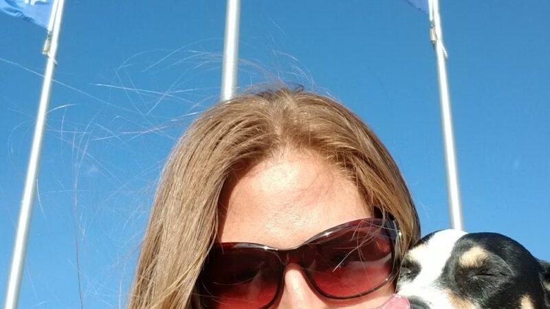 Dog Park Parking - Thornton, CO