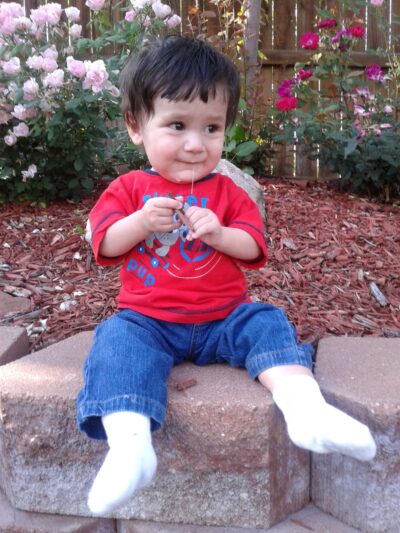 Dog Park Parking - Thornton, CO