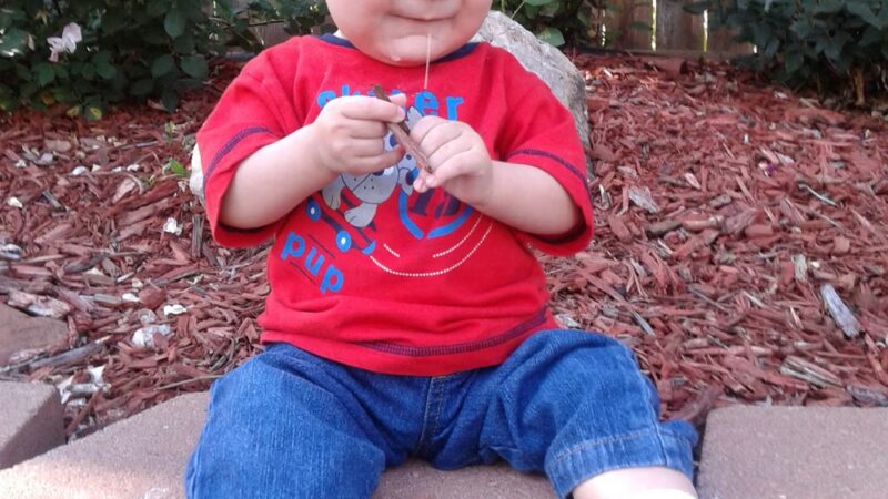 Dog Park Parking - Thornton, CO