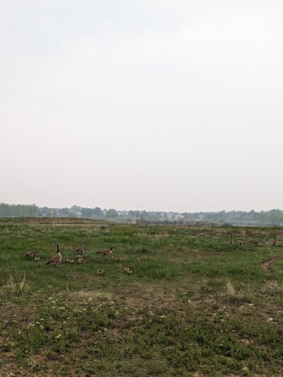 East Lake 3 - Thornton, CO