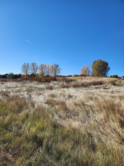 East Lake 3 - Thornton, CO