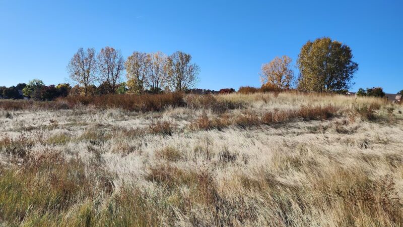 East Lake 3 - Thornton, CO