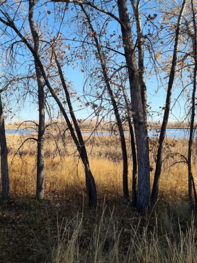 Eastlake #3 Park & Nature Preserve - Thornton, CO