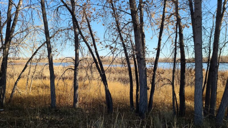Eastlake #3 Park & Nature Preserve - Thornton, CO