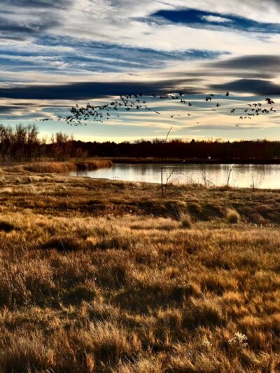 Eastlake #3 Park & Nature Preserve - Thornton, CO