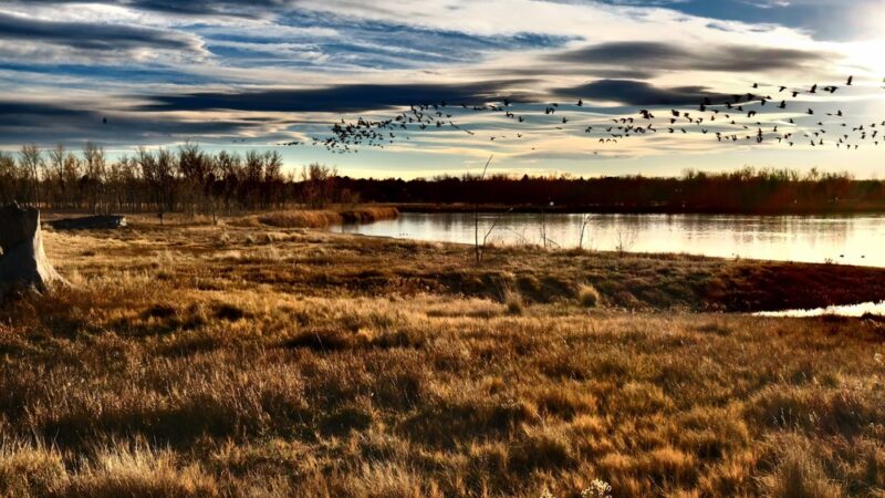 Eastlake #3 Park & Nature Preserve - Thornton, CO