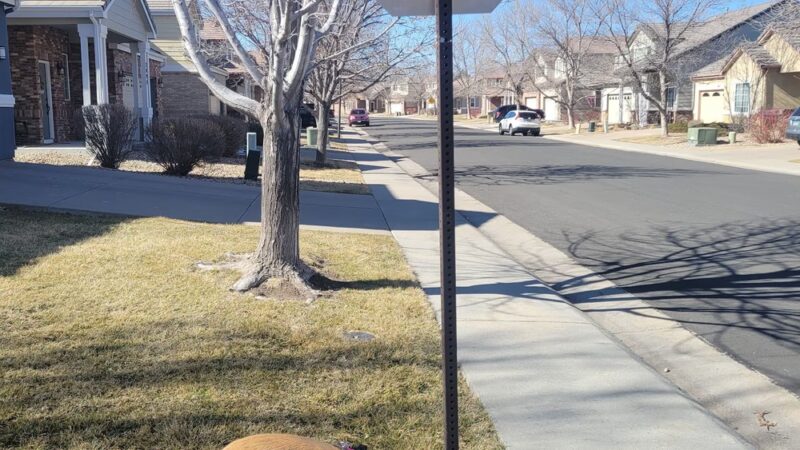 Eastlake Shores Park - Thornton, CO