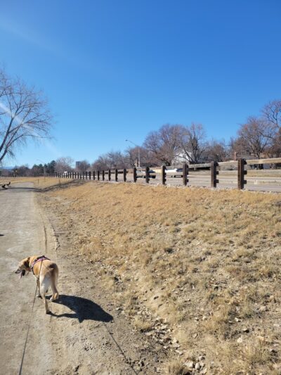 Eastlake Shores Park - Thornton, CO