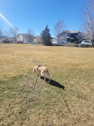 Eastlake Shores Park - Thornton, CO