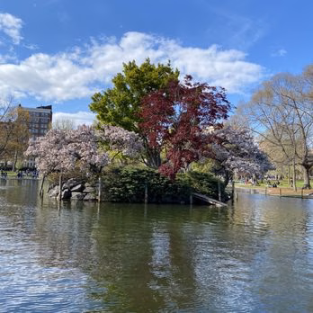 Grange Creek Park - Thornton, CO