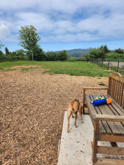Tillamook Ironworks Bark Park - Tillamook, OR