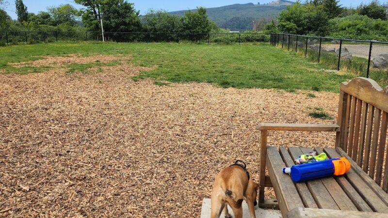 Tillamook Ironworks Bark Park - Tillamook, OR