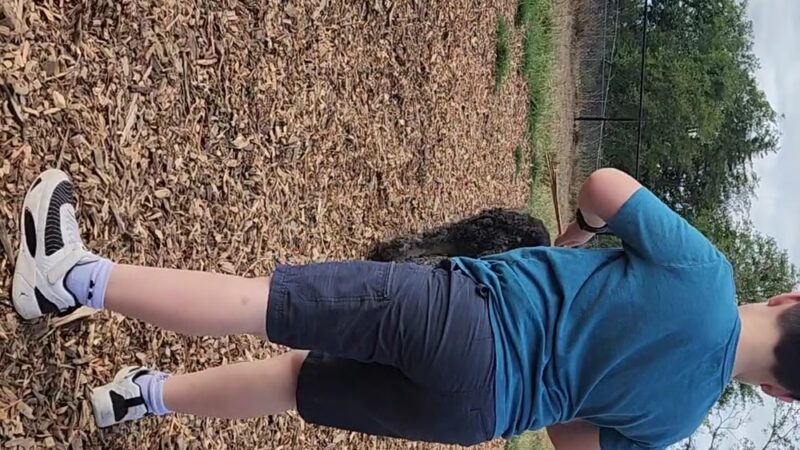 Tillamook Ironworks Bark Park - Tillamook, OR