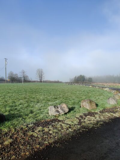 Tillamook Ironworks Bark Park - Tillamook, OR