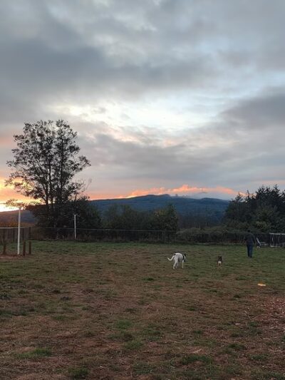 Tillamook Ironworks Bark Park - Tillamook, OR