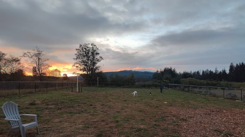 Tillamook Ironworks Bark Park - Tillamook, OR