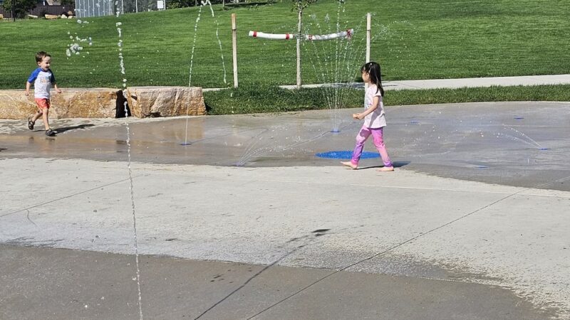 Timnath Dog Park - Timnath, CO