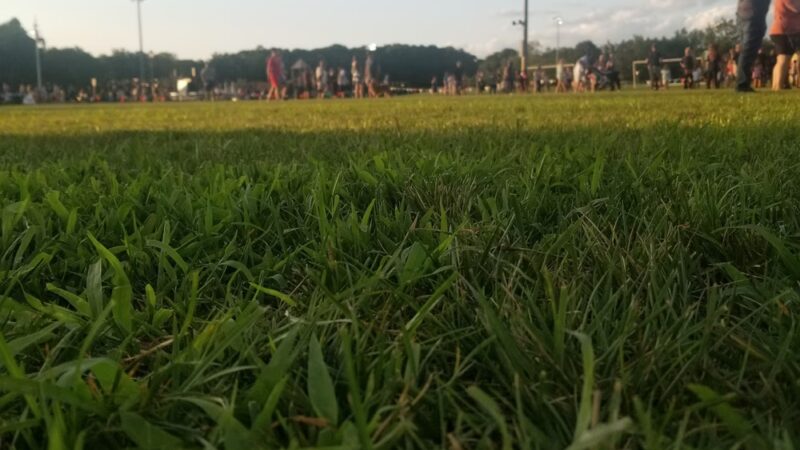 Atchison Fields - Tinton Falls, NJ