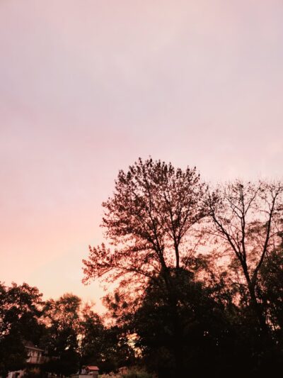 Atchison Fields - Tinton Falls, NJ