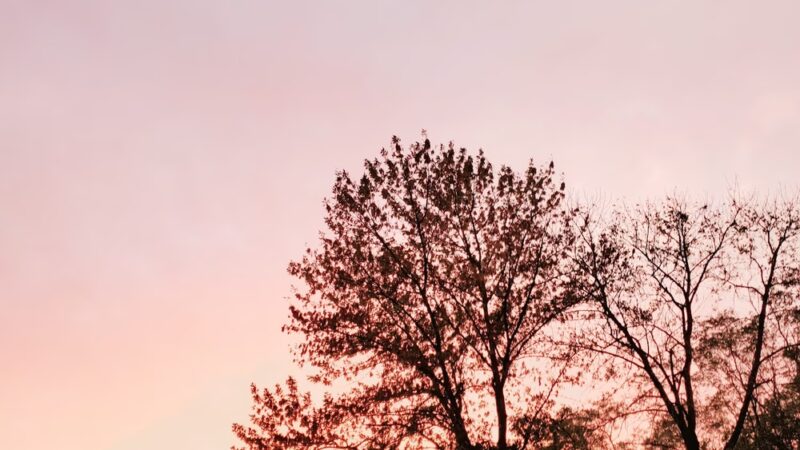 Atchison Fields - Tinton Falls, NJ