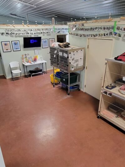 Second Chance Animal Sanctuaries - Tioga, PA