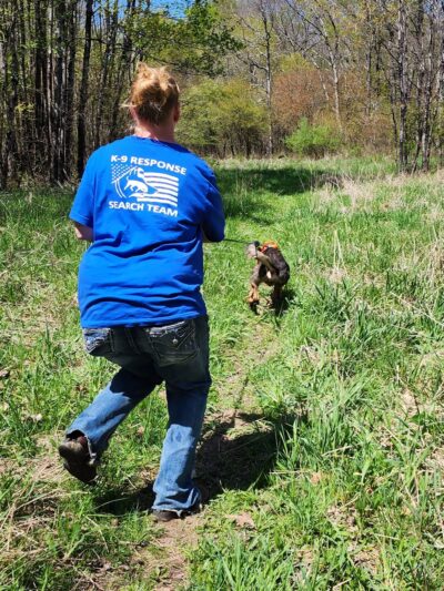 State Game Lands 24 - Tionesta, PA