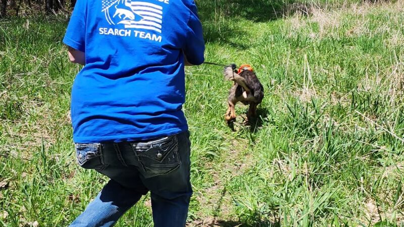 State Game Lands 24 - Tionesta, PA