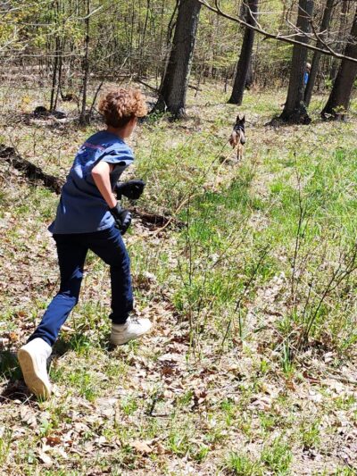 State Game Lands 24 - Tionesta, PA