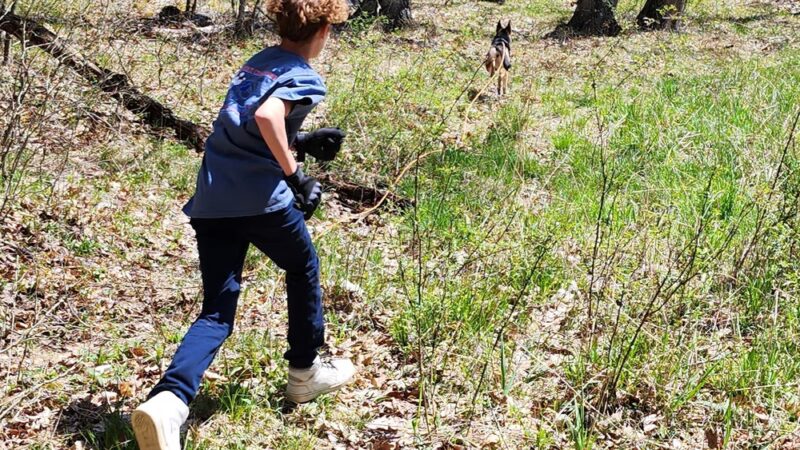 State Game Lands 24 - Tionesta, PA