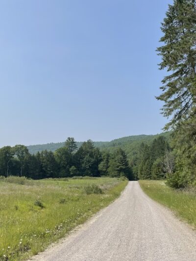 State Game Lands 24 - Tionesta, PA