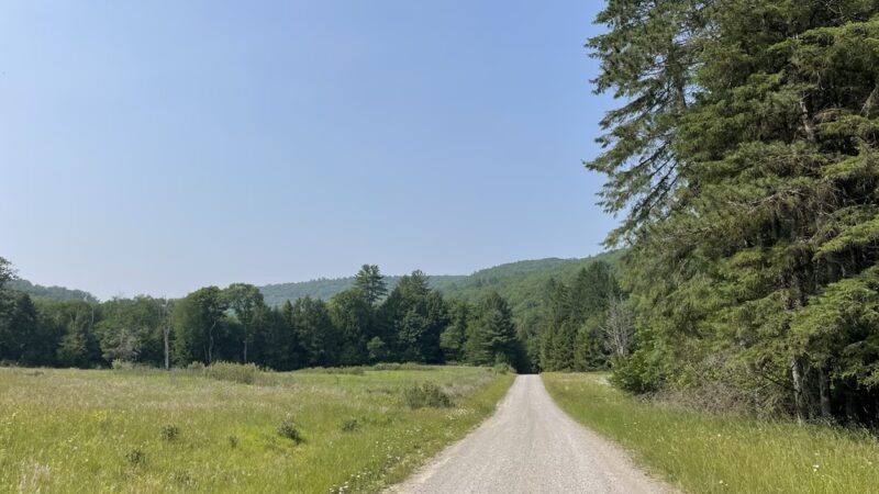 State Game Lands 24 - Tionesta, PA