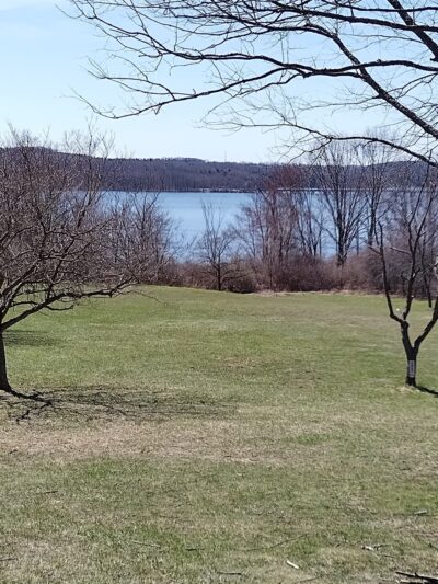 Tionesta Beach Park - Tionesta, PA