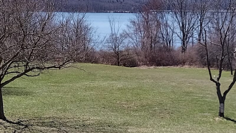 Tionesta Beach Park - Tionesta, PA