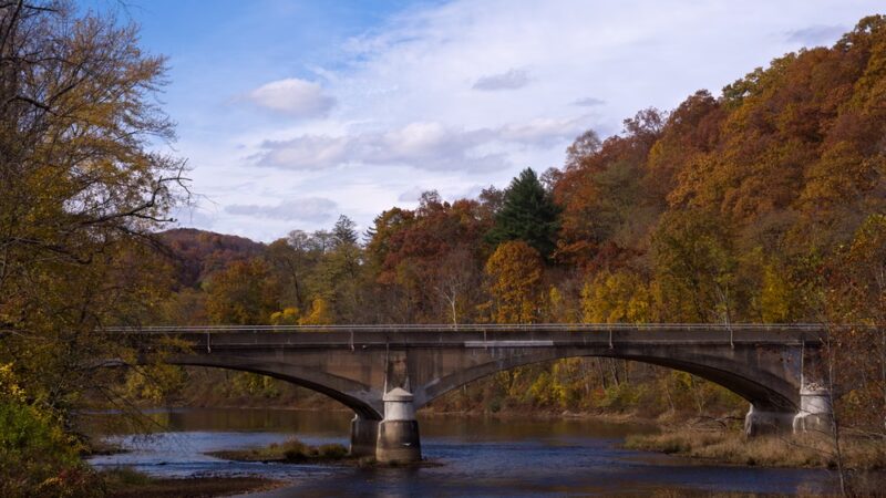 Tionesta Beach Park - Tionesta, PA