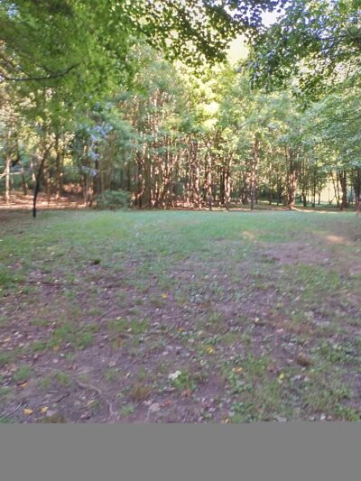 Tionesta Beach Park - Tionesta, PA