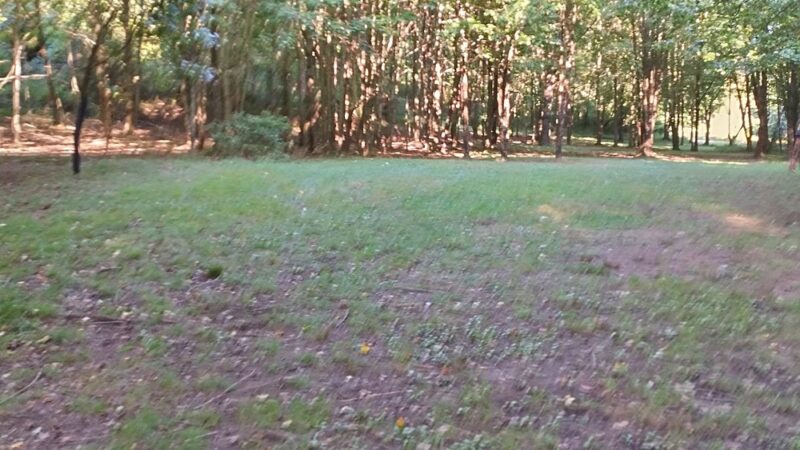 Tionesta Beach Park - Tionesta, PA