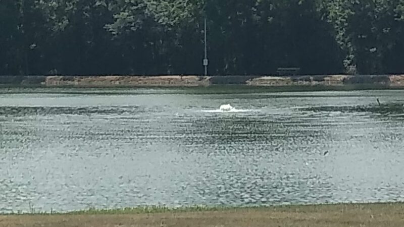 Tipton Area Veteran's Memorial - Tipton, MO