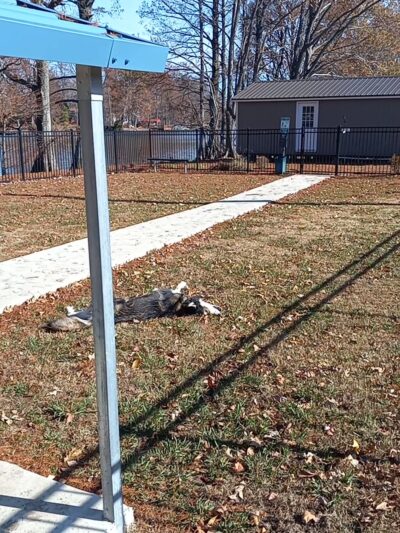 Sunkist Dog Park - Tiptonville, TN