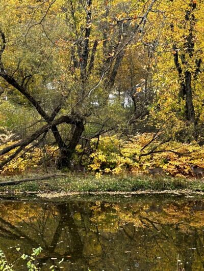 Queen City Trail - Titusville, PA